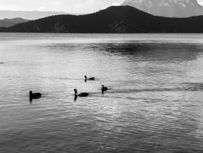 슬로토캐시 카지노 모바일 앱